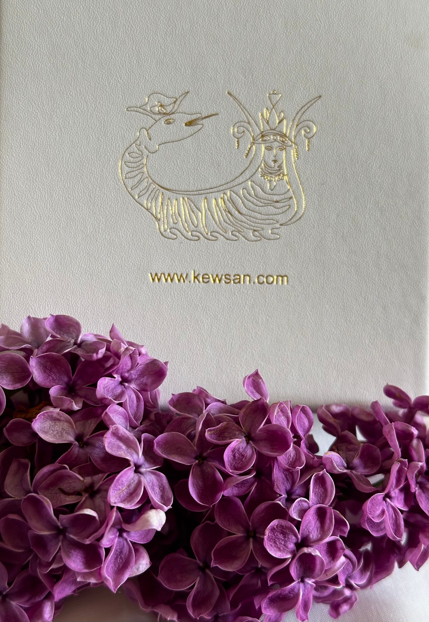 Shamaran Kurdish Coin Accessory Set – Necklace, Arm Band & Earrings