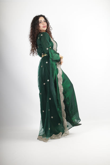 Awêne Kurdish Dress Dark Green