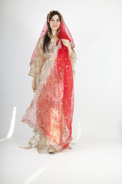 Shkofa Collection – Gold Sequin Embroidered Kras & Kawa and red long veil